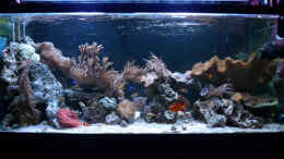 aquarium-von-flevus-flevs-mewa-tank_Ansicht von hinten