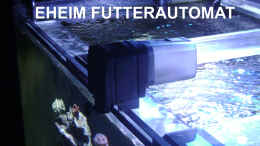 aquarium-von-the-lizardking-the-black-island-reef-obsolete_Futtermaschine