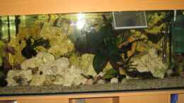 aquarium-von-sky1706-malawi-200-liter_