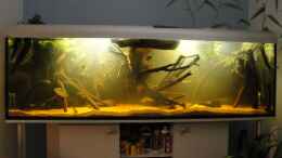 aquarium-von-laura-suedamerika-biotop-existiert-nicht-mehr_6.10.2012