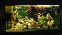 aquarium-von-sky1706-malawieaquarium-430-liter_Neues Bild mit abgeändertem Licht 28.10.10