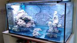 aquarium-von-austauscher-becken-18185_beim Aufbau