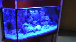 aquarium-von-vito-becken-18276_LED-BLAU (Nachtbeleuchtung)