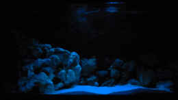 aquarium-von-african-lake-mbuna-1_Becken mit Mondlicht