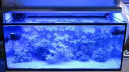 aquarium-von-daheit1982-300-liter_Die Entstehungsphase - Die grobe Einrichtung