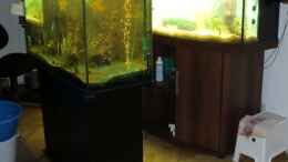 aquarium-von-sirko-fricke-450l-suedamerika_das Ganze dann aufgefüllt (alt und neu)