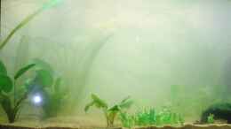 aquarium-von-sirko-fricke-450l-suedamerika_plus Wasseraufbereiter FFM von easy life