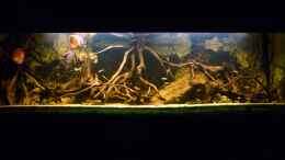 aquarium-von-carkl-rio-pampo-aufgeloest_03.09.2012