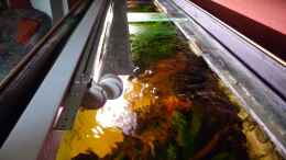 aquarium-von-carkl-rio-pampo-aufgeloest_geöffnete Abdeckung mit Leuchtbalken