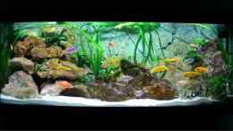 aquarium-von-m3z-vision-450_Juwel Vision 450