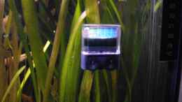 aquarium-von-yvonne-storms-fischsuppe_PH-Elektrode und CO2-Dauertest von JBL