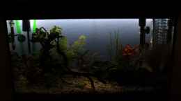 aquarium-von-stefan-f--becken-19010_Mondlicht