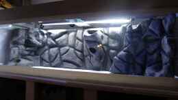 aquarium-von-bossie1704-entstehung-von-dark-stones-of-malawi_Beleuchtungstest