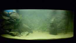 aquarium-von-julien-preuss-tanganjika-uebergangszone---nur-noch-als-beispiel_So ist es Final...