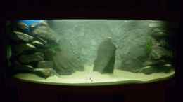 aquarium-von-julien-preuss-tanganjika-uebergangszone---nur-noch-als-beispiel_Viel Sandfläche für die Enantiopus...