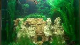 aquarium-von-simon-says-abu-simbel-cube_Sera Cube 130 XXL