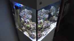 aquarium-von-dr--manhattan-midi-cube-meerwasser_