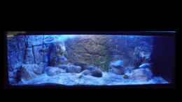 aquarium-von-noah-malawi-homezone---aufgeloest_Ansicht 03.11.2013