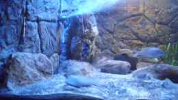 aquarium-von-noah-malawi-homezone---aufgeloest_Ansicht linke Seite