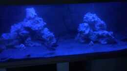 aquarium-von-m1989l-meins_Mondlicht