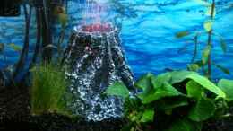 aquarium-von-pebbel-wandaquarium-gesellschaftsbecken_Ausströmer mit rotem LED-Licht aus einem Vulkan