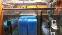 aquarium-von-uwe66-suedamerkabiotop-ausschnitt_Filterkammer mit Filterpatronen