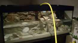 aquarium-von-benkolo-juwel-rio-240_Endlich kann das Becken gefüllt werden