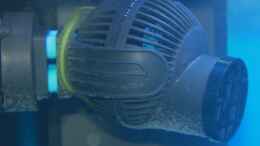 Aquarium einrichten mit Tunze Nanostream 6025 mit 2800l/h - 2mal