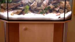 aquarium-von-jerome-homann-becken-2005_Becken mit Unterschrank