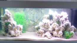 aquarium-von-daniel-stoner-becken-20050_150x60x60
