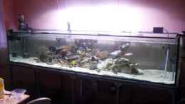 aquarium-von-michael-schulze-1260-liter-meeresaquarium_