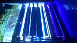 aquarium-von-bluewater-becken-20235_4x54 Watt T5 + 6x12 Watt sunaEco 500