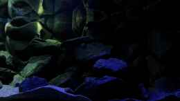 aquarium-von-bossie1704-dark-stones-of-malawi---nur-noch-als-beispiel_Optische Spielereien 22.12.12