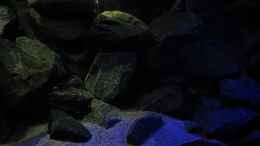 aquarium-von-bossie1704-dark-stones-of-malawi---nur-noch-als-beispiel_20.12.12 Dark Stones