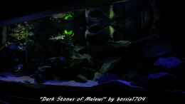 aquarium-von-bossie1704-dark-stones-of-malawi---nur-noch-als-beispiel_Abendstimmung 22.12.12