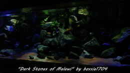 aquarium-von-bossie1704-dark-stones-of-malawi---nur-noch-als-beispiel_Altes HB vom 13.3.2012
