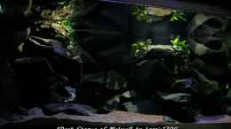 aquarium-von-bossie1704-dark-stones-of-malawi---nur-noch-als-beispiel_Steinaufbauten, oben strahlt das Sonnenlicht 22.12.12