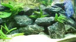 aquarium-von-onno83-vision-260-malawi_Ca. 110kg dieser Steine habe ich in das Aqua gesetzt.