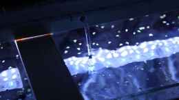 aquarium-von-skipper1202-malawi-im-schlafzimmer--_LED-Wasserkühlung
