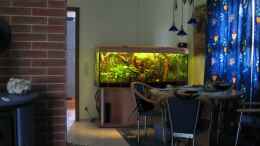 aquarium-von-gerrit-buck-becken-2091_Integration Wohnung