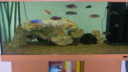 aquarium-von-michael-weber-becken-2135_Mein Becken