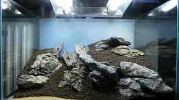 aquarium-von--serok--einst-war-das-chaos_Step 2:Hauptbodengrund aufschütten, Steigung gestalten