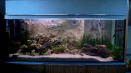 aquarium-von-christian-klar-becken-2211_Becken mit neuer,selberbebauter Abdeckung