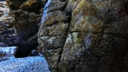 aquarium-von-marxbre-rockzolid-cave-aufgeloest_River Stone N 
