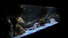 aquarium-von-marxbre-rockzolid-cave-aufgeloest_