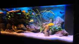 aquarium-von-chanty-becken-22123_