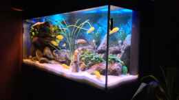 aquarium-von-chanty-becken-22123_