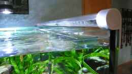 aquarium-von-aquabert-becken-22202_LED Leisten in Plexiglasrohr