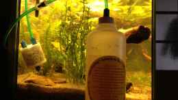 aquarium-von-andrea-rueter-pinselalge---aufgeloest--_vorm Aqua CO2-Anlage mit Rückschlagventil und im Becken CO2