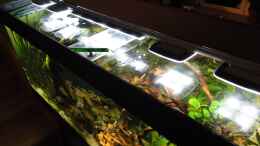 aquarium-von-kirschfleckjaeger-becken-22338_Blick auf die LED Beleuchtung 